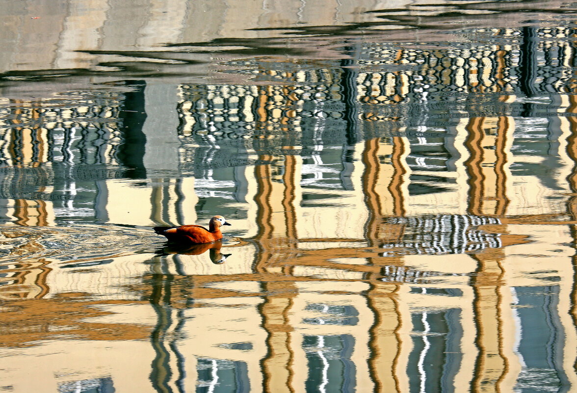 Садовническая наб 19 марта - Михаил Бибичков