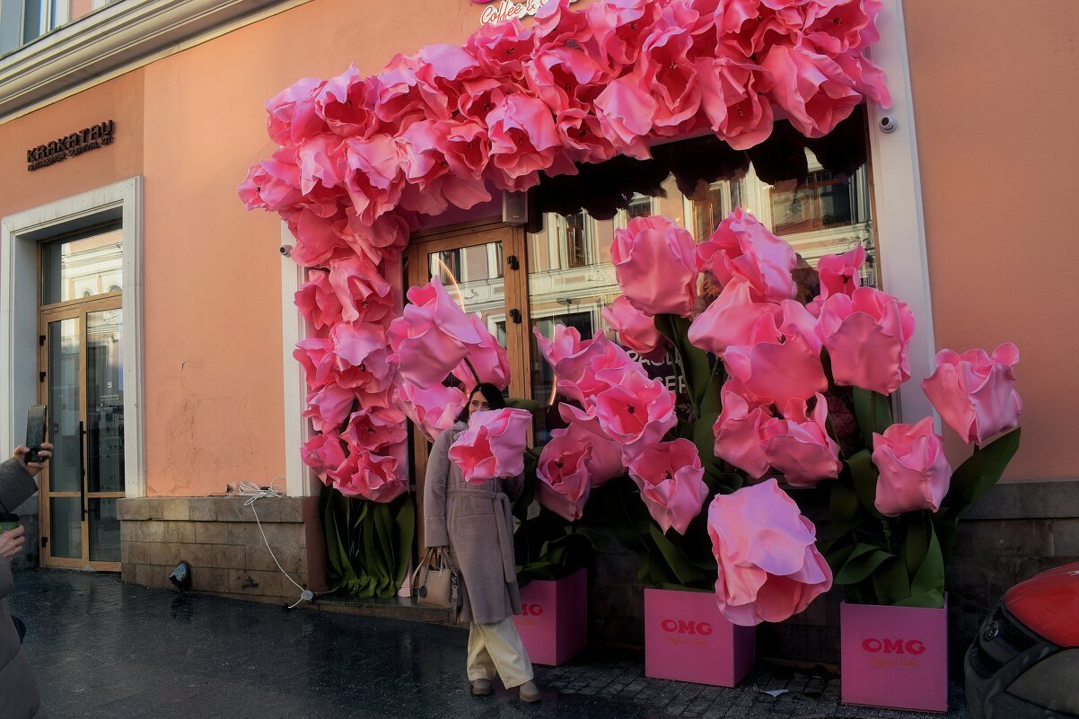 Гигантские тюльпаны на Рождественке. - Татьяна Помогалова