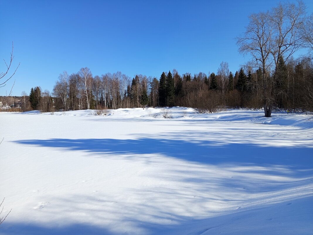 Совсем немного осталось и пруд заживёт другой жизнью... - Алена 