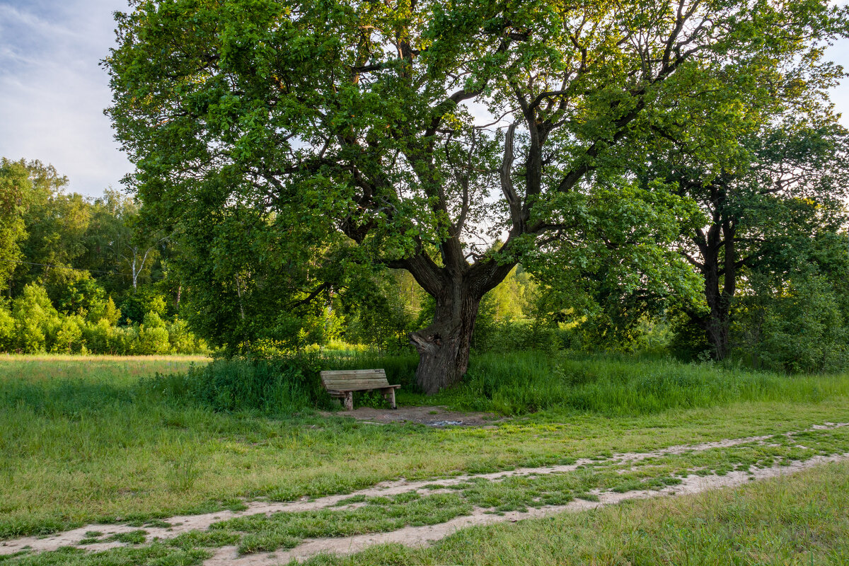 Привал усталого путника. - Alexandr Gunin