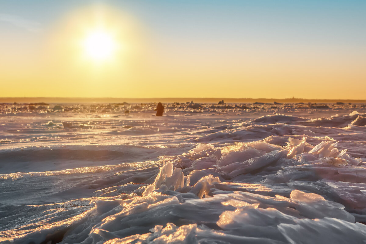Про Питер - Владимир Колесников