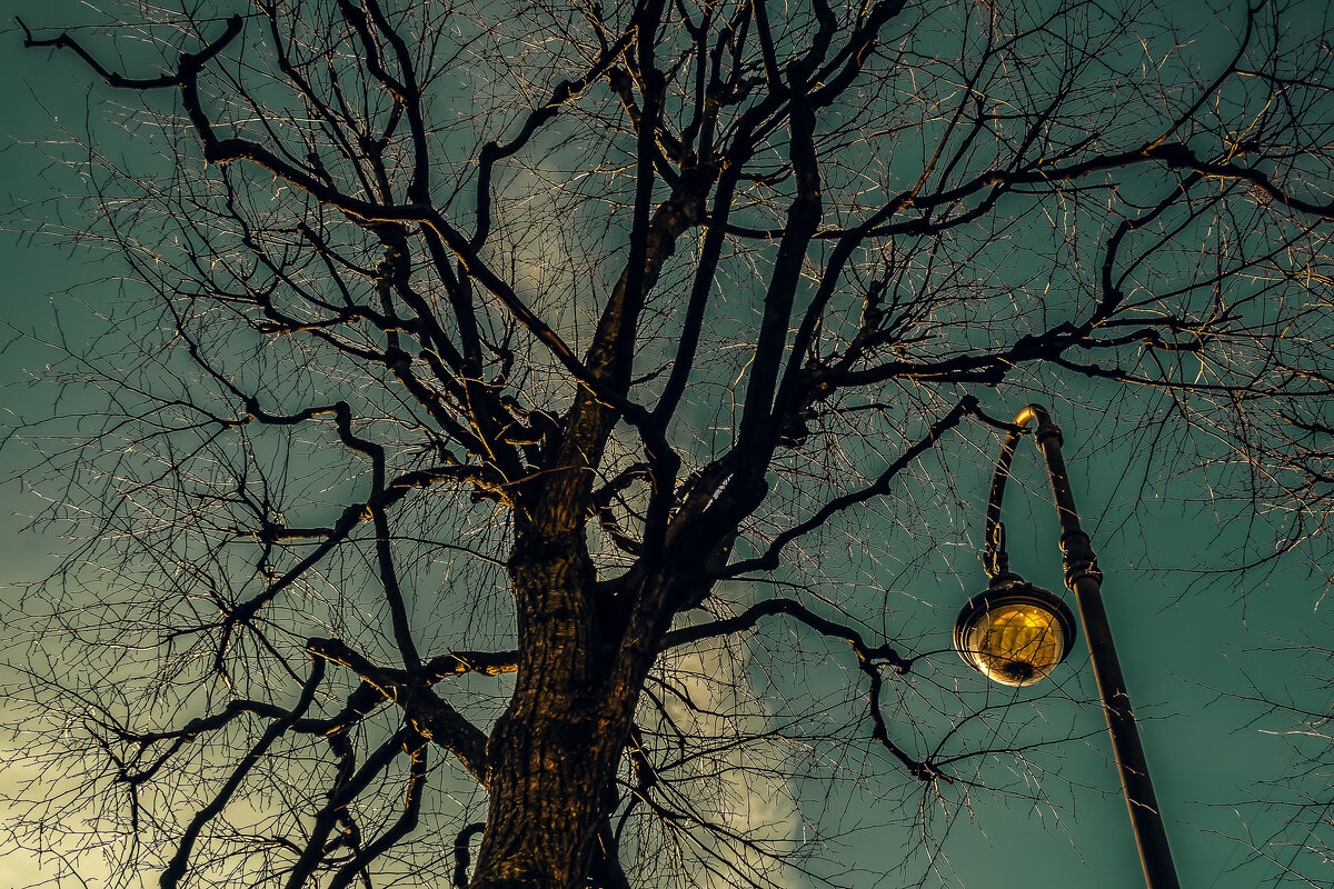 Уже зажглись фонари (мистический этюд). - Игорь Викторов