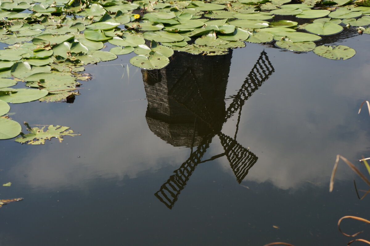 В опрокинутом Мире мир очень красив..... - Алёна Савина