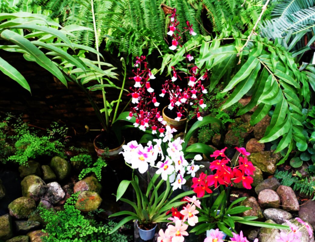 Весна в теплице Пальмового дома - Aida10 