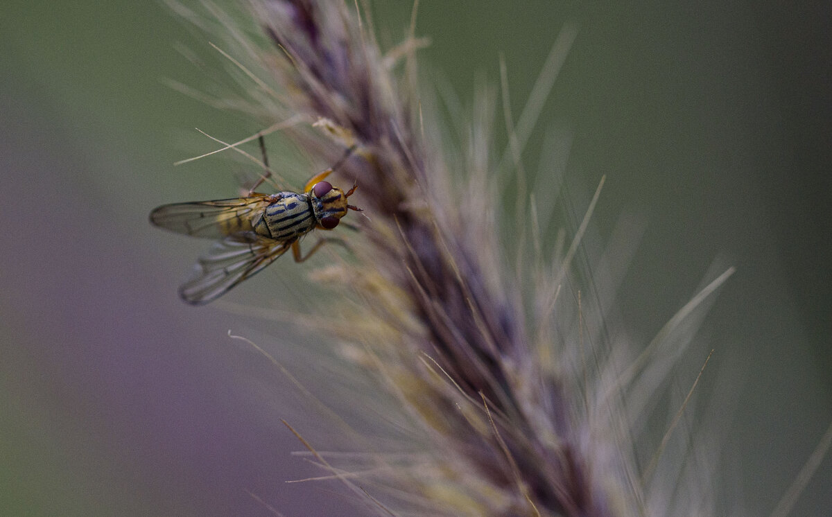 в любимом  парке - Осень 