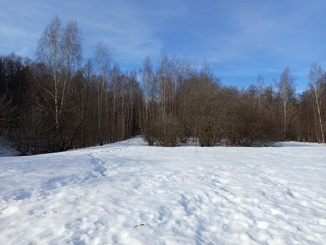 Март как весенний месяц - Андрей Лукьянов