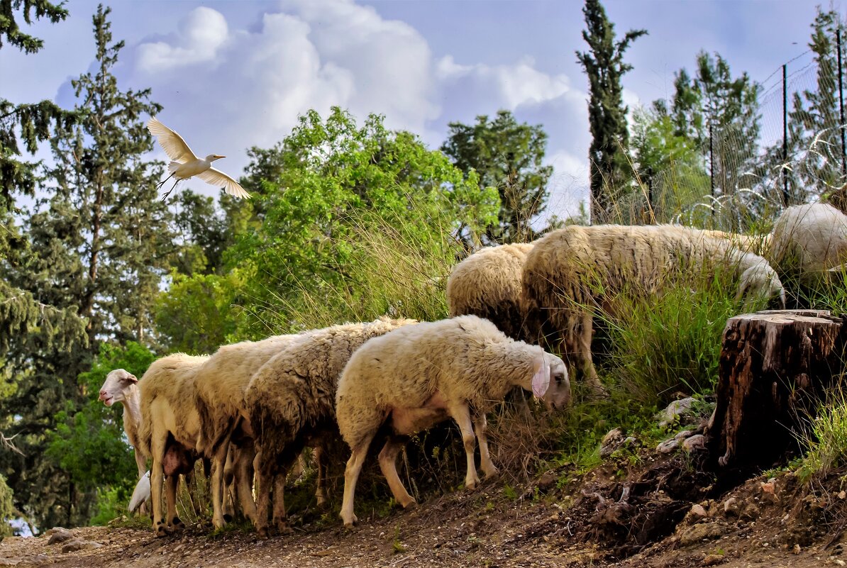 в любимом  парке - Осень 