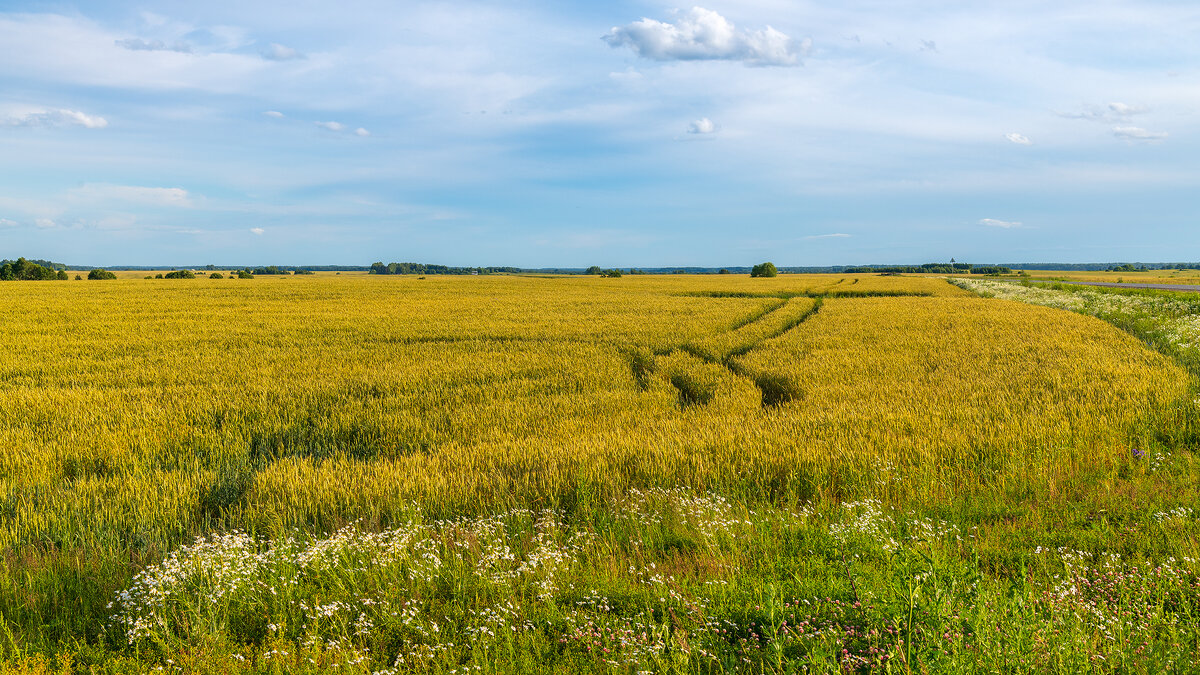 Середина лета - Владимир Лазарев