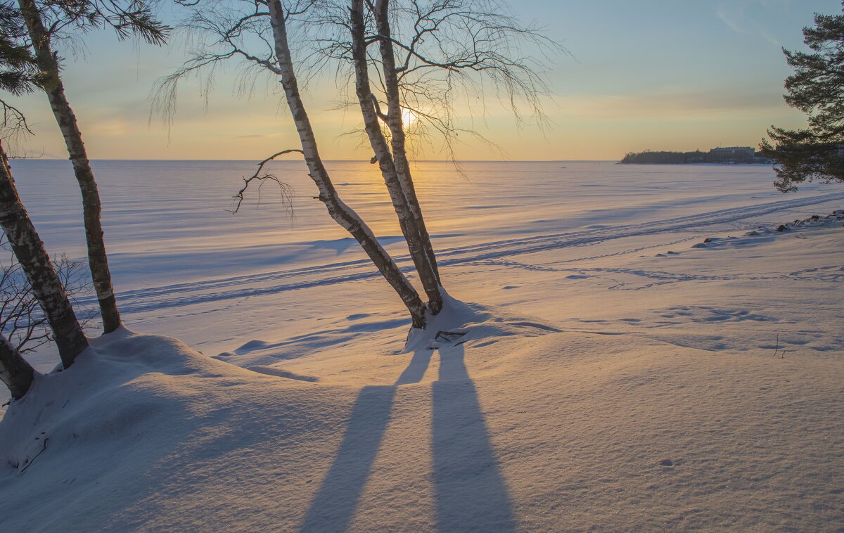 Вечерний свет.......... - Юрий Цыплятников Вечерний свет.......... - Юрий Цыплятников
