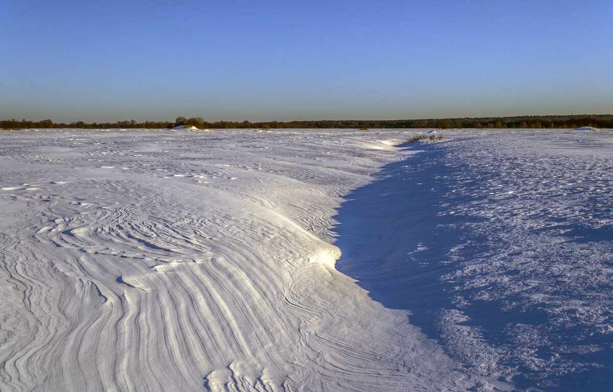 На боголюбовском лугу в феврале - Сергей Цветков На боголюбовском лугу в феврале - Сергей Цветков