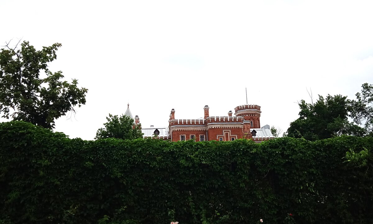 Рамонь - Елена Шаламова