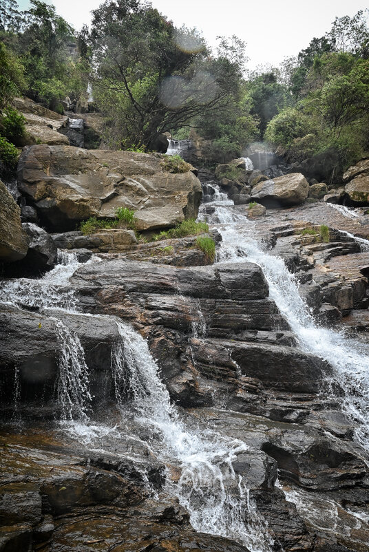 Шри-Ланка. Водопады Эссе. - Александр Беляков Шри-Ланка. Водопады Эссе. - Александр Беляков