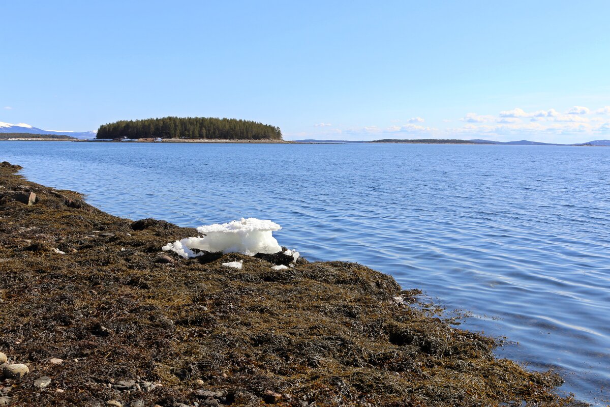 Когда растает снег - Ольга 