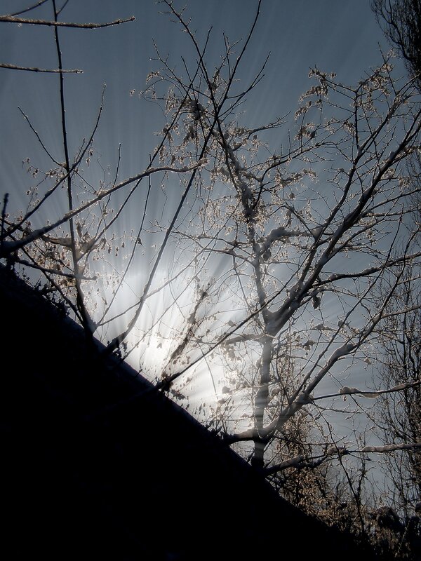 Детали природы - Роман Савоцкий Детали природы - Роман Савоцкий