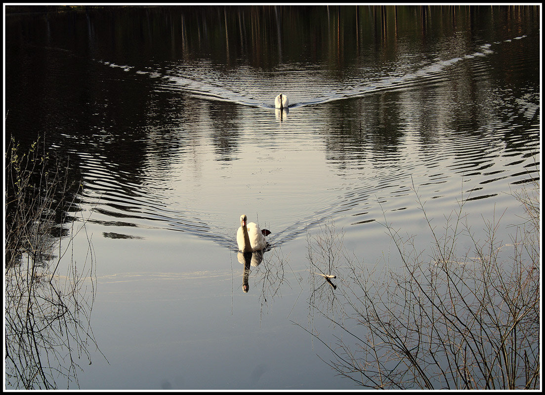 *** - Aleksandr Gal *** - Aleksandr Gal