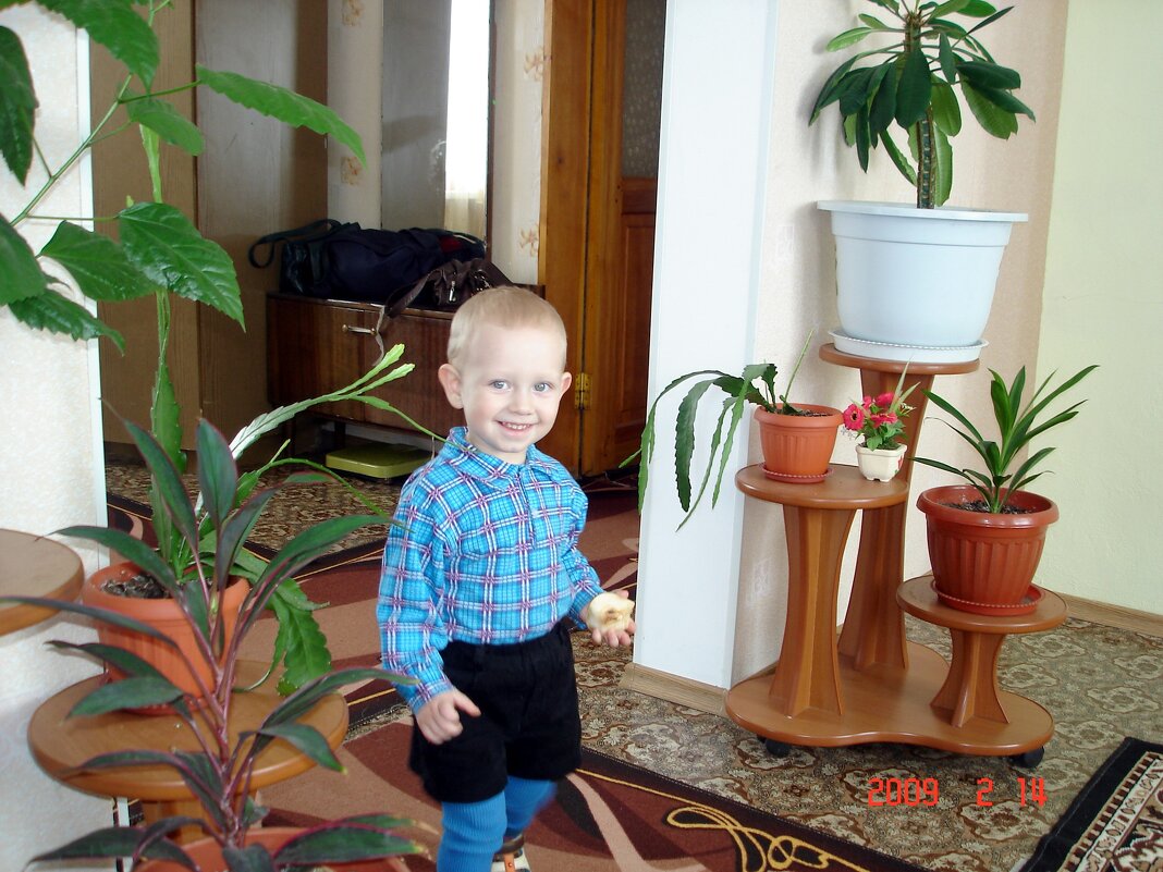 в гостях у бабушки - Наталья Штанулина