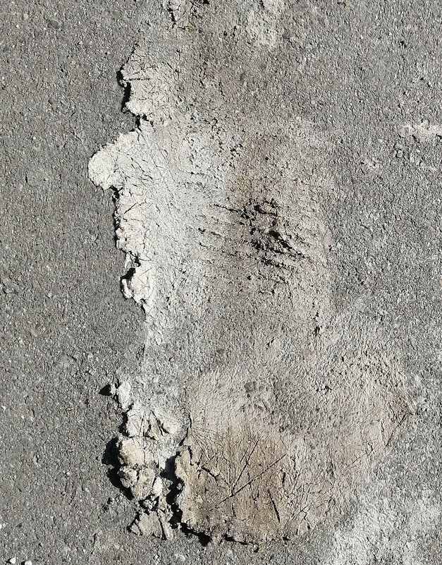 ЦЕ МЕНТ? - Юрий Вовк ЦЕ МЕНТ? - Юрий Вовк