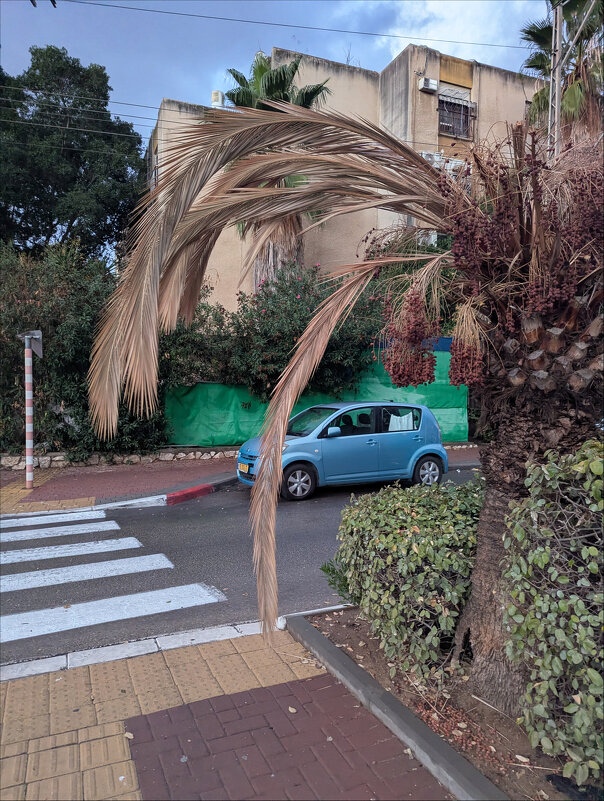 Уголочек города, в котором живу. - Валерий Готлиб Уголочек города, в котором живу. - Валерий Готлиб