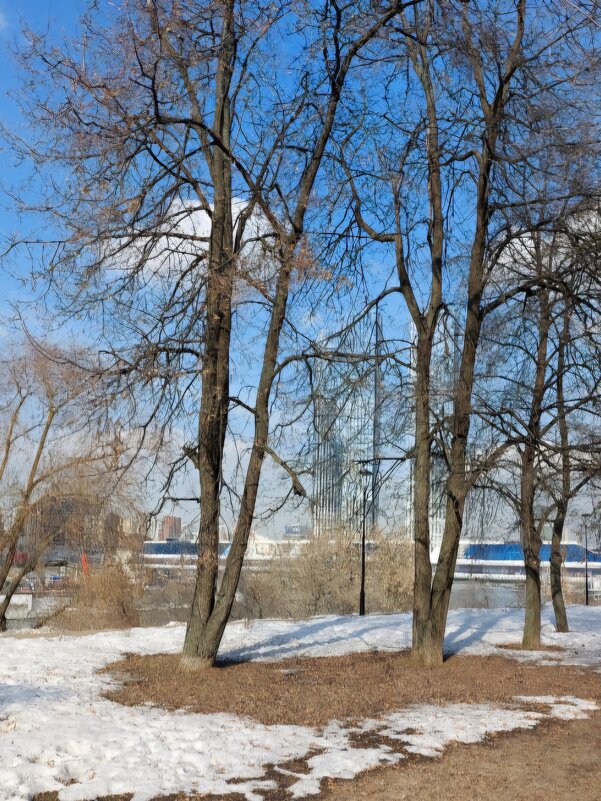 Весна идёт — весне дорогу! - Сергей Б. Весна идёт — весне дорогу! - Сергей Б.