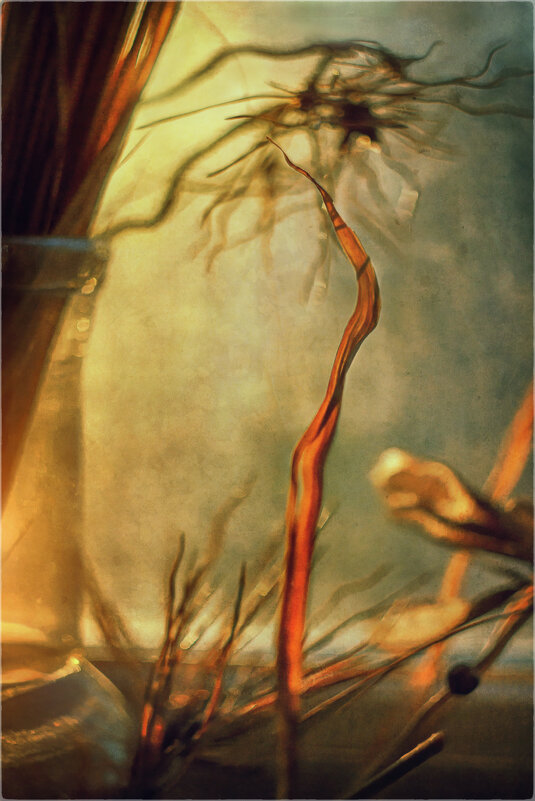 На закате. - Oleg Rastorguev На закате. - Oleg Rastorguev