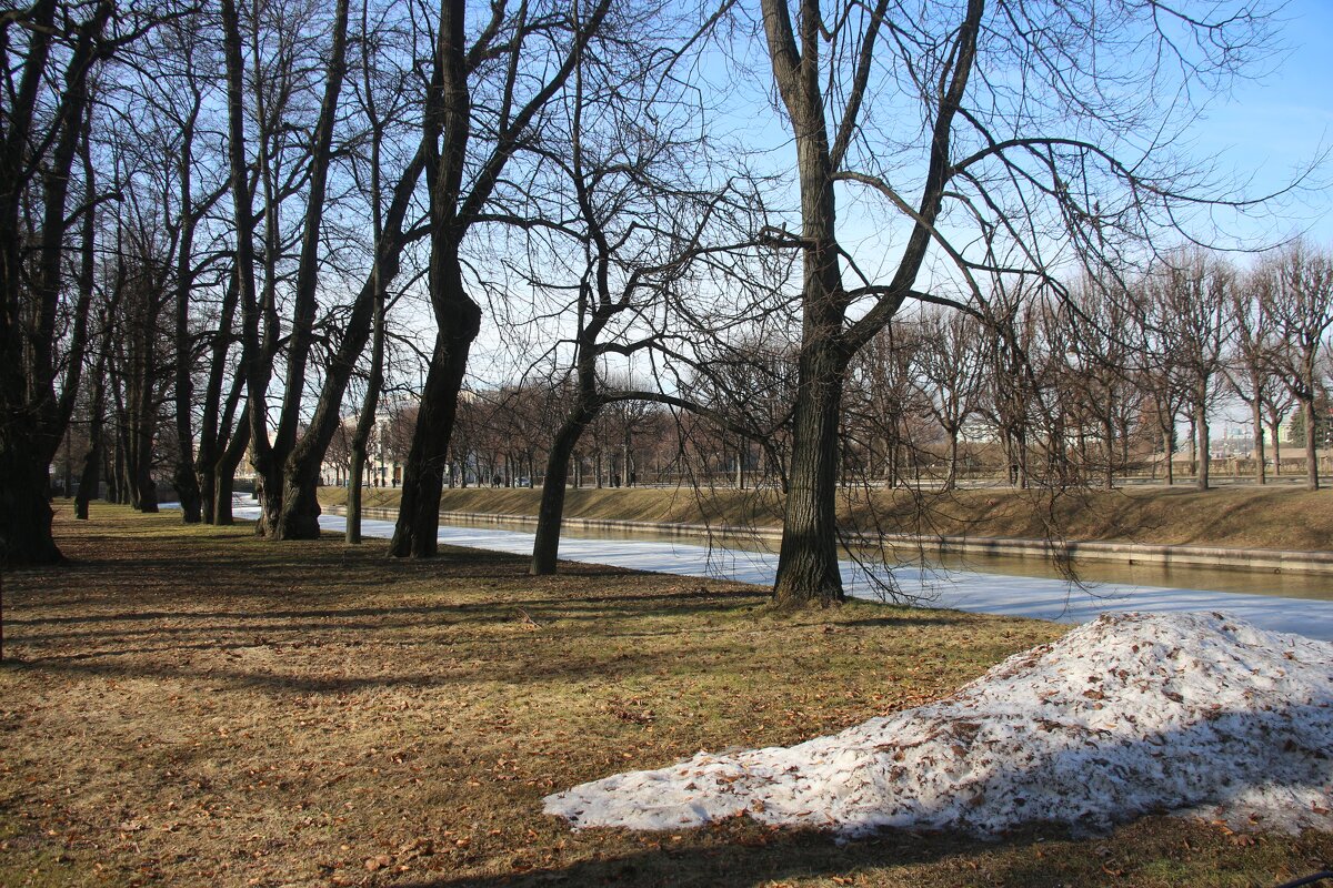 Михайловский сад. Март - Наталья Герасимова Михайловский сад. Март - Наталья Герасимова