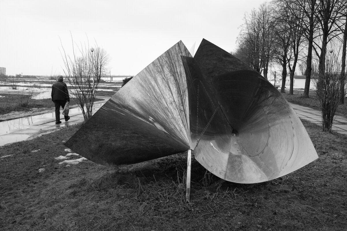 * - Светлана Воробьева