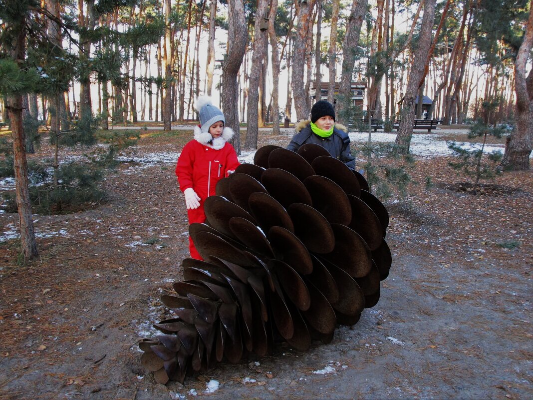 В парках Воронежа - Елена Шаламова