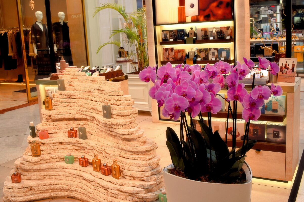 Орхидеи чаруют, восхищают. - Татьяна Помогалова Орхидеи чаруют, восхищают. - Татьяна Помогалова