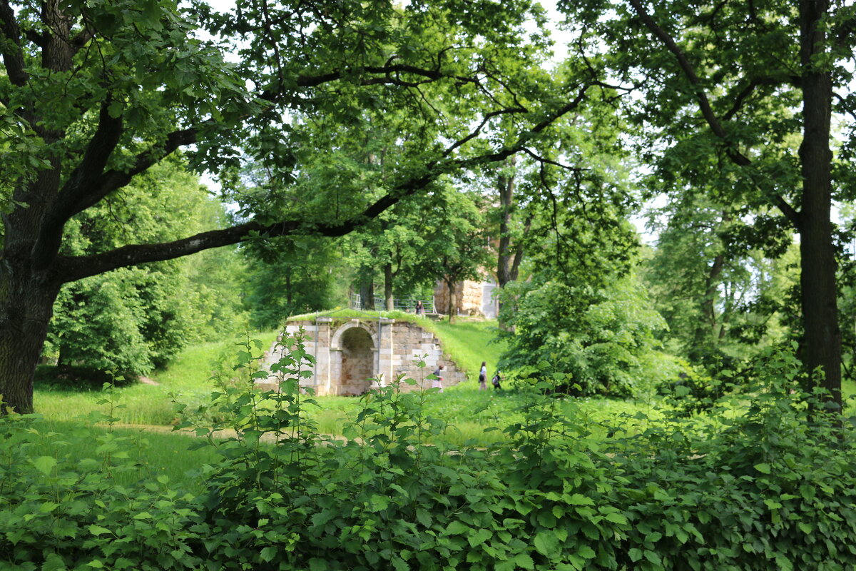 Парки Петергофа - Ольга Парки Петергофа - Ольга