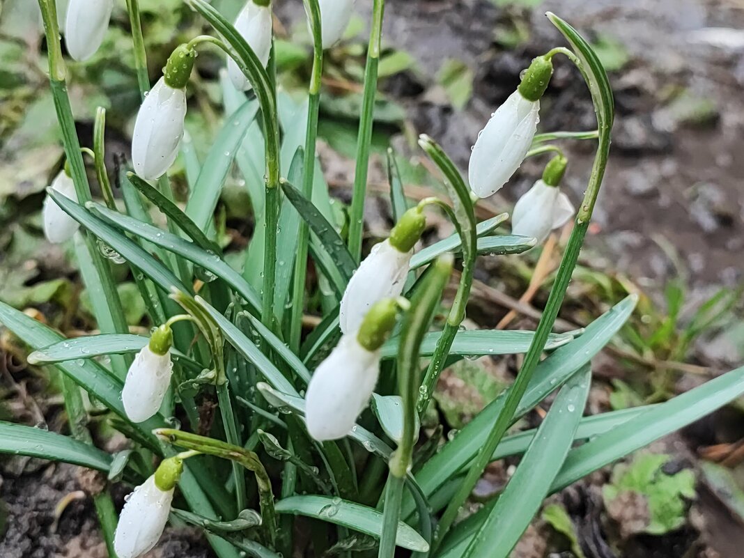 ,,, - Сергей Тимоновский