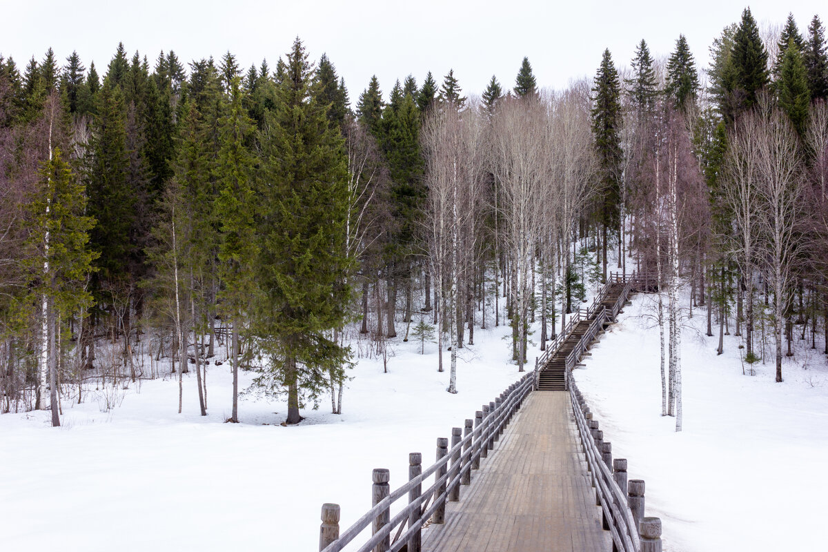 Музей деревянного зодчества Малые Корелы - ирина )))