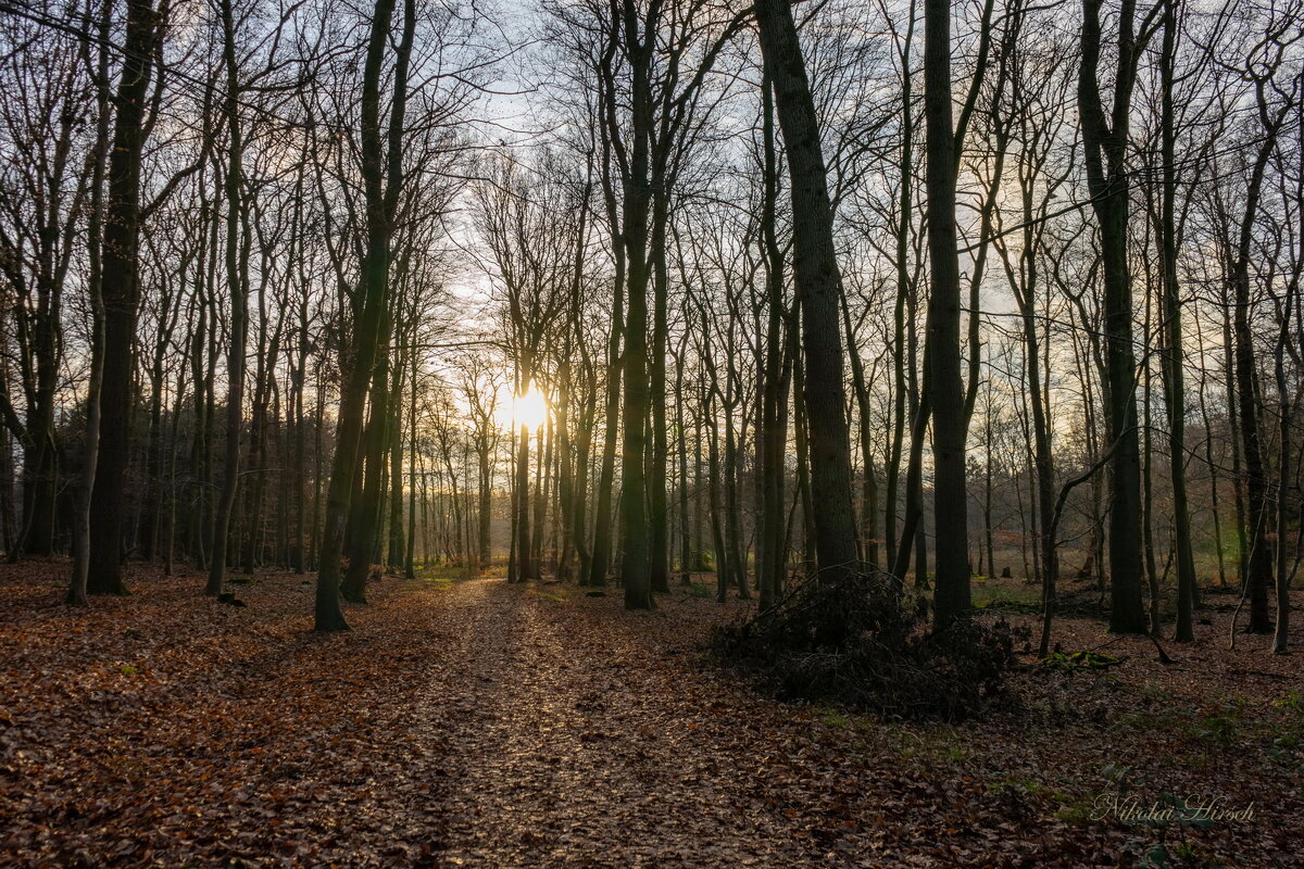 Дорога на закат... - Николай Гирш Дорога на закат... - Николай Гирш