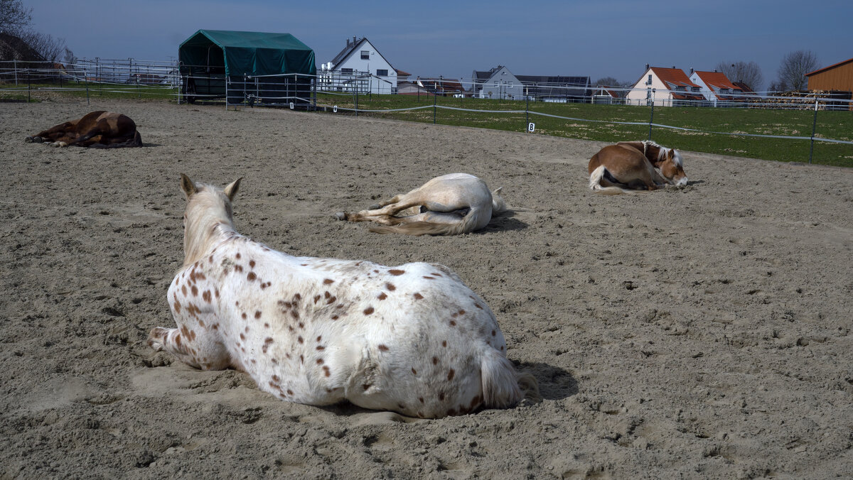 -- - vladimir -- - vladimir