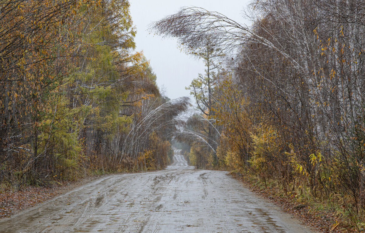 Дождливый осенний маршрут - Сергей Герасимов Дождливый осенний маршрут - Сергей Герасимов