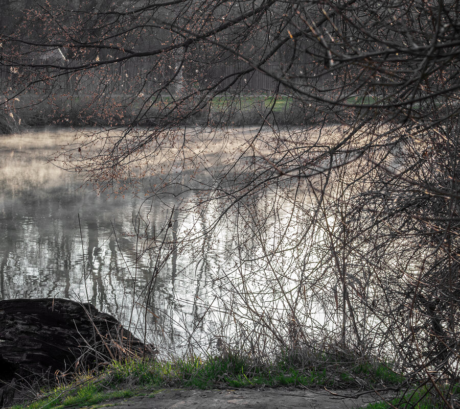 *** - Игорь Протасов