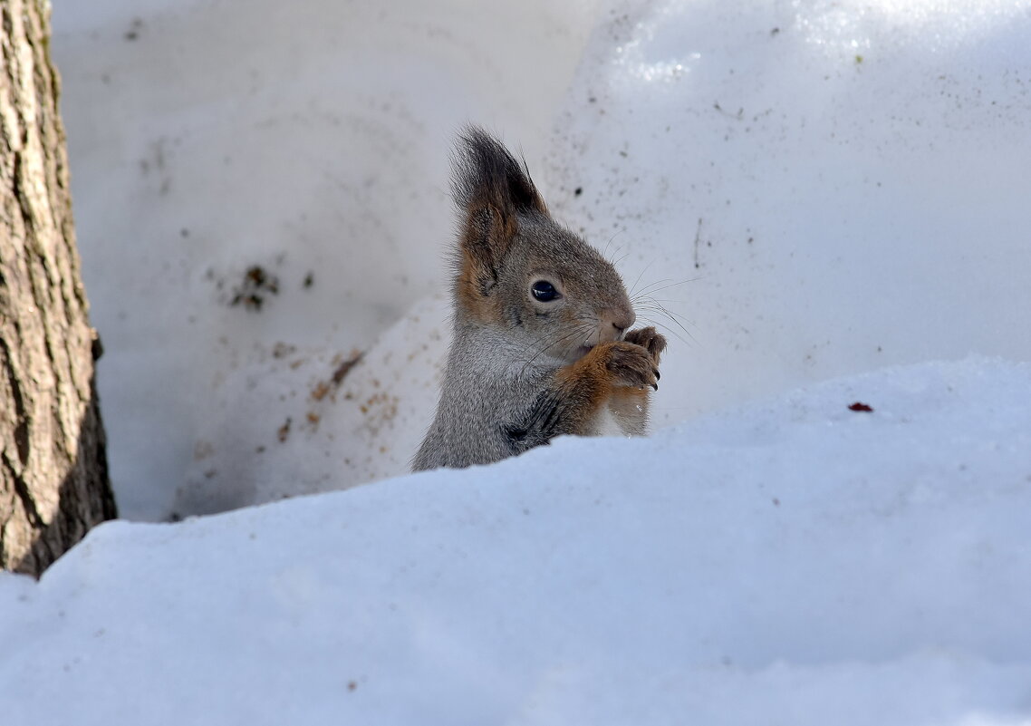 ,...... - Алексей . ,...... - Алексей .