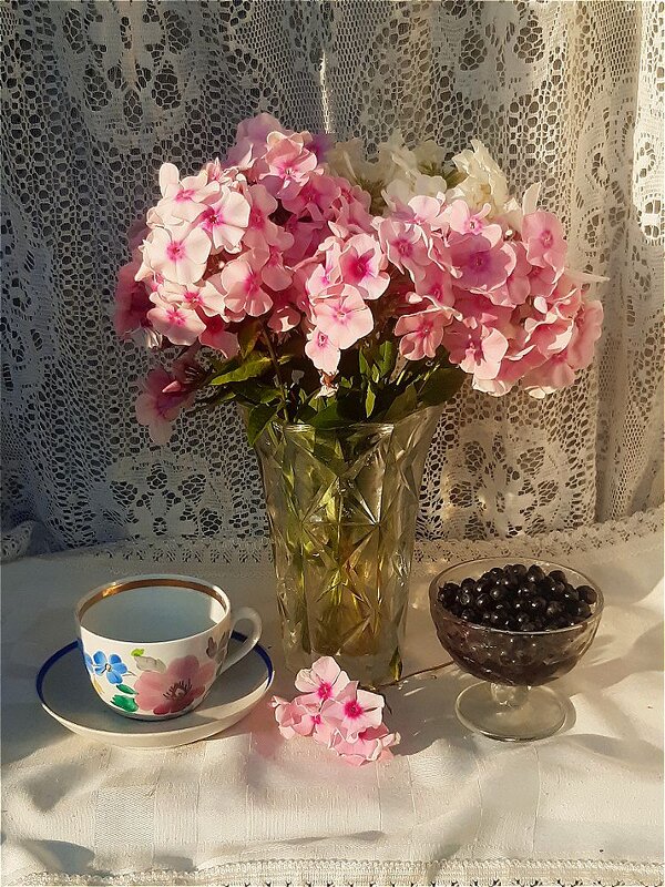 Летние радости! - Нина Андронова