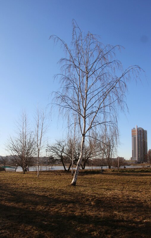 Весна в Купчино - Наталья Герасимова Весна в Купчино - Наталья Герасимова