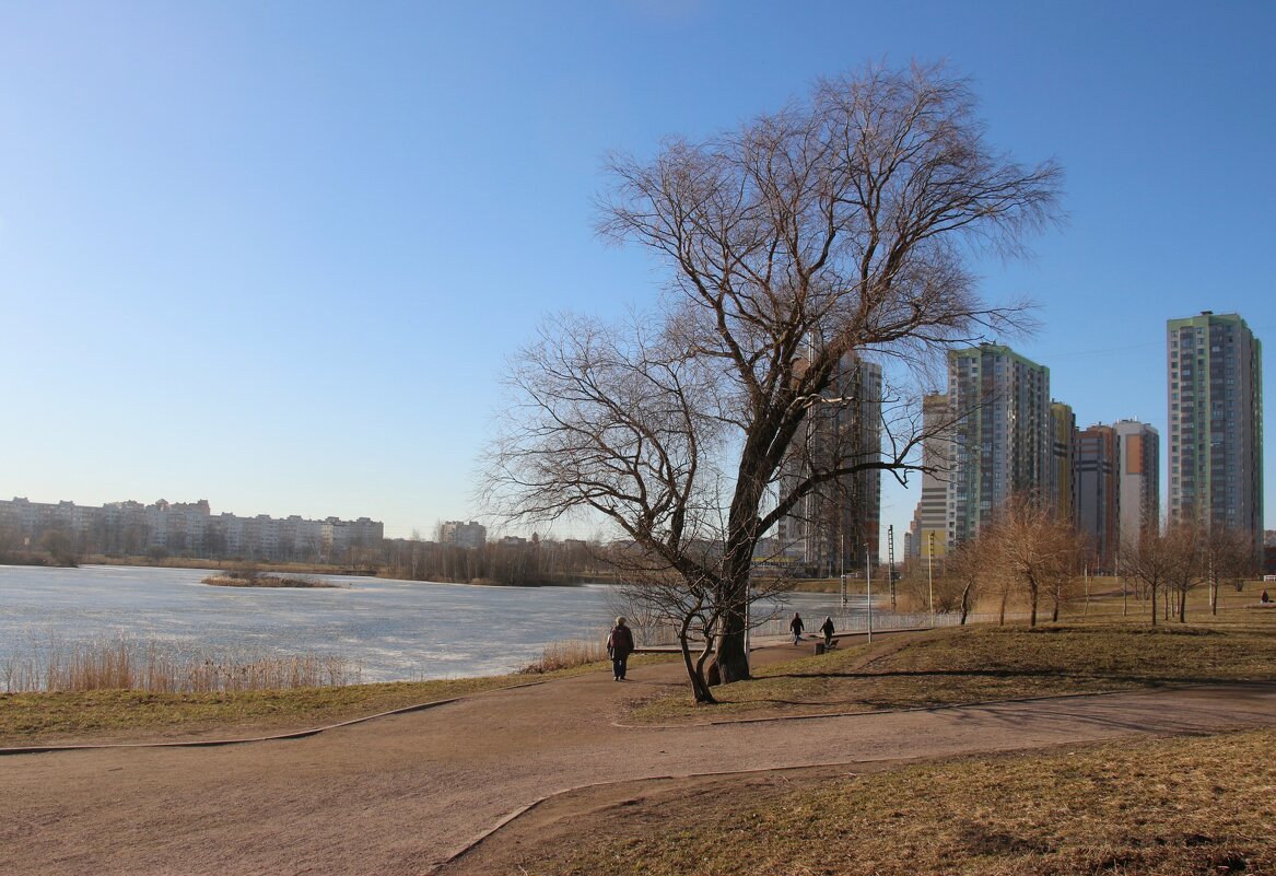 Весна в Купчино - Наталья Герасимова