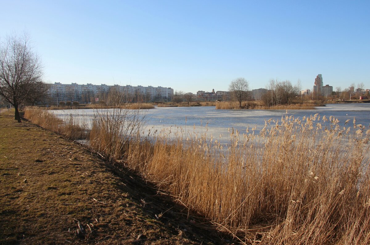 Весна в Купчино - Наталья Герасимова