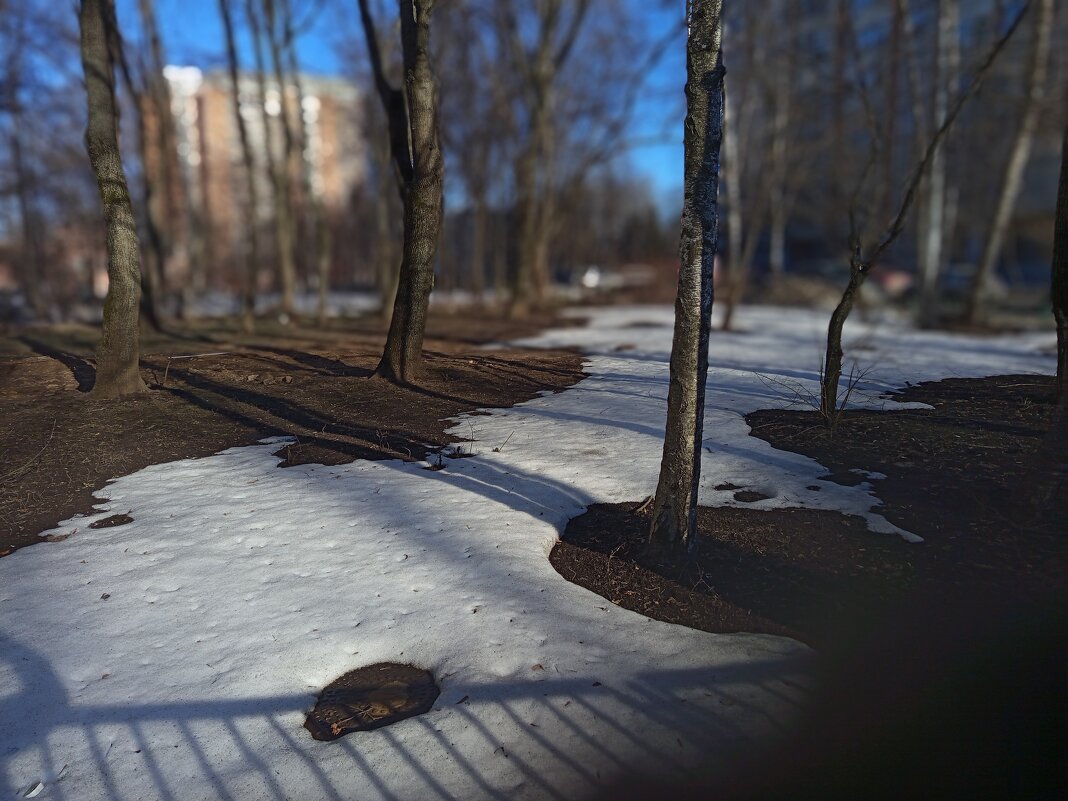 Март в городе - Андрей Лукьянов