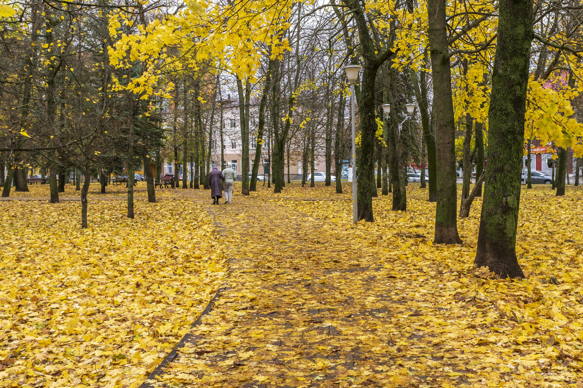 Золотая осень в Курске - Александр Буторин