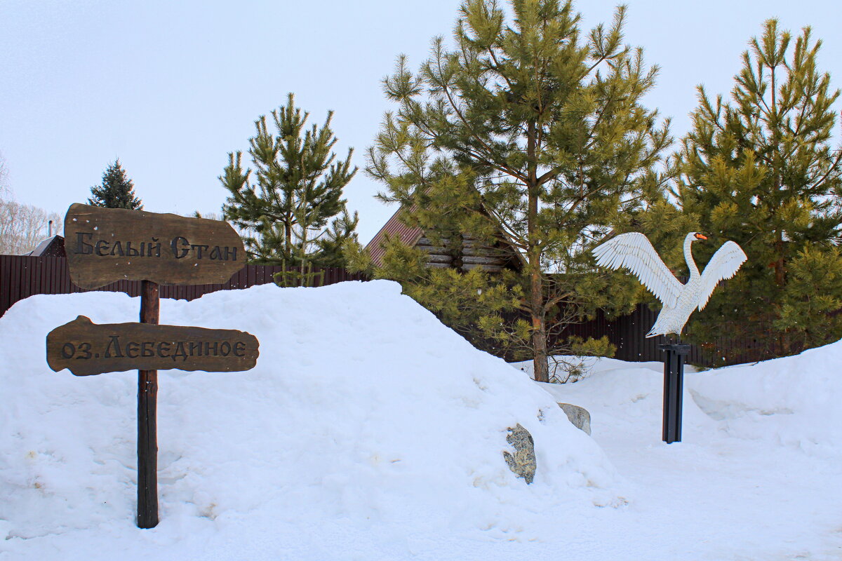 9 марта на озере Светлом (Лебедином) - Татьяна Лютаева