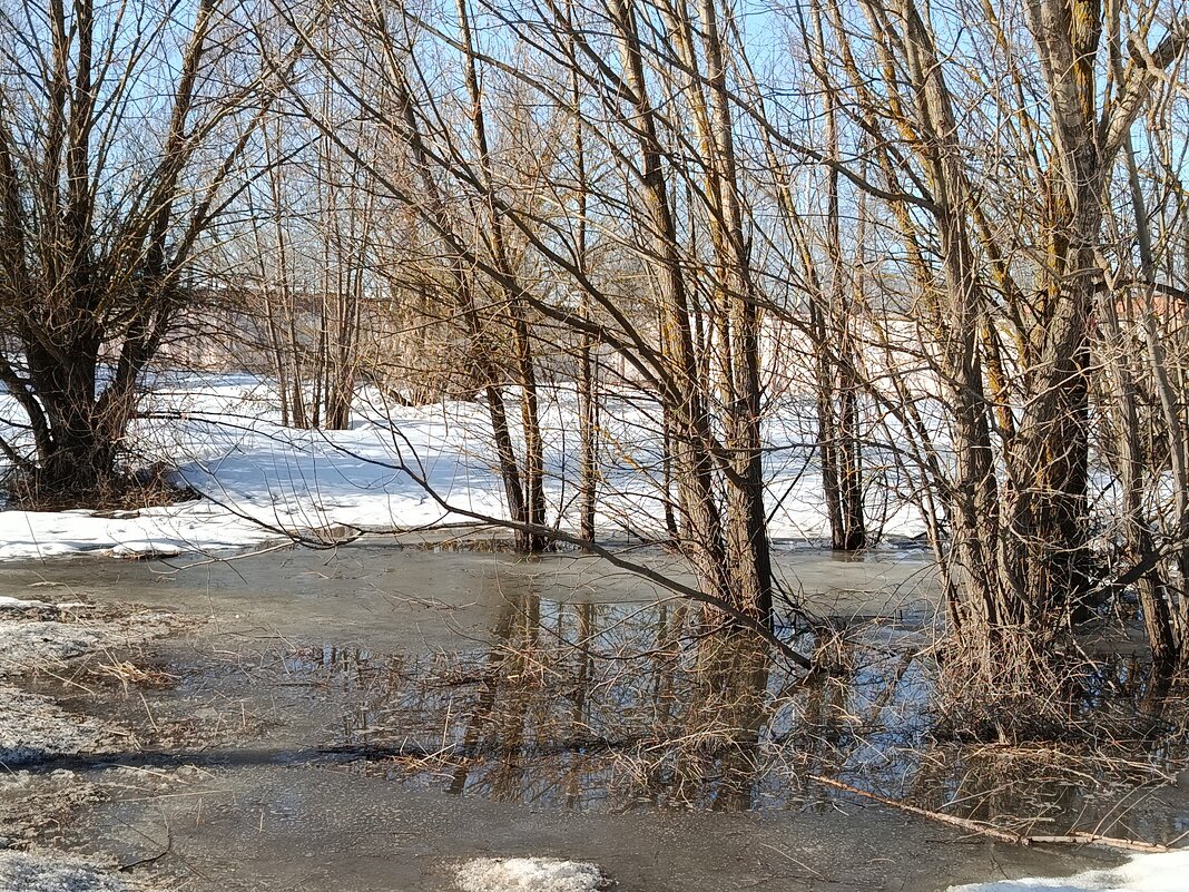 Весенний этюд. - Вячеслав. Синицын