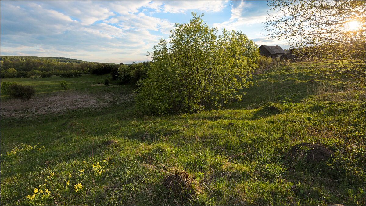 Вечер в мае - **** vedin