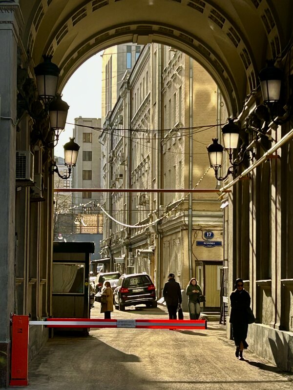 В арке своя жизнь - Натали 