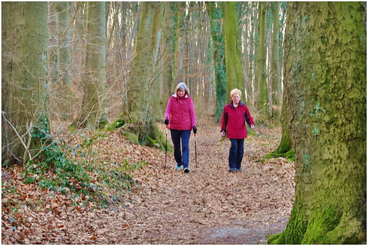 В ЛЕСУ... - Elvira E. В ЛЕСУ... - Elvira E.