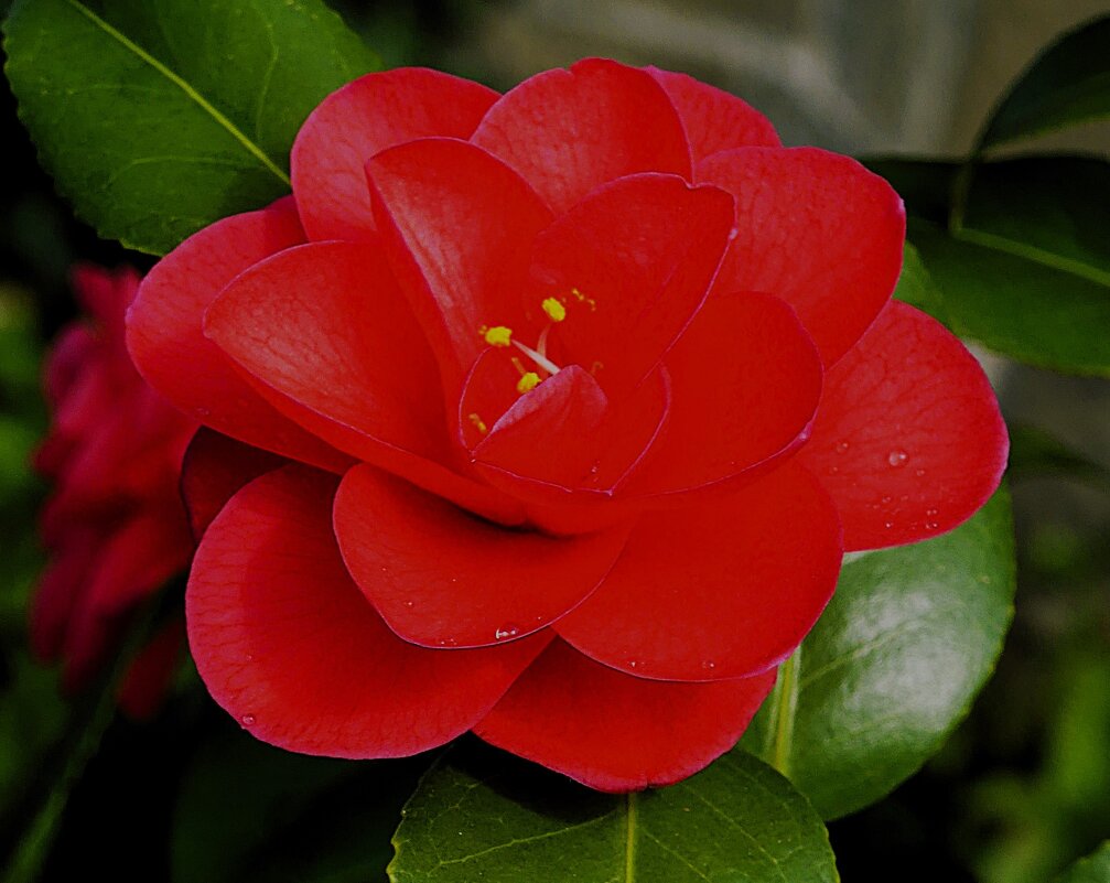 Весна(серия) - Владимир Манкер