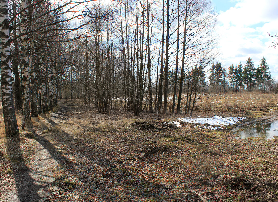 Отголоски зимы... - Наталья Лунева 