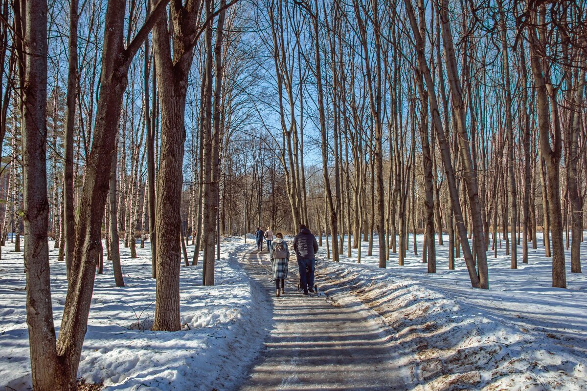 По дороге ... - Kirill 
